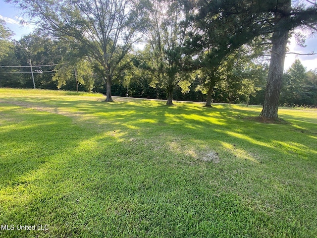 410 N Brooks St, Pelahatchie, MS 39145 - view of green lawn