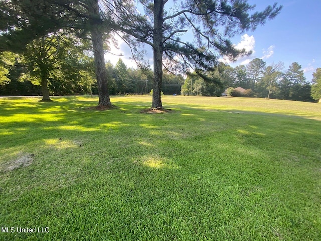 410 N Brooks St, Pelahatchie, MS 39145 - view of grassy yard