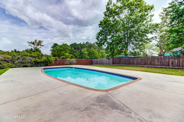 view of pool with a fenced backyard, a patio area, and a fenced in pool