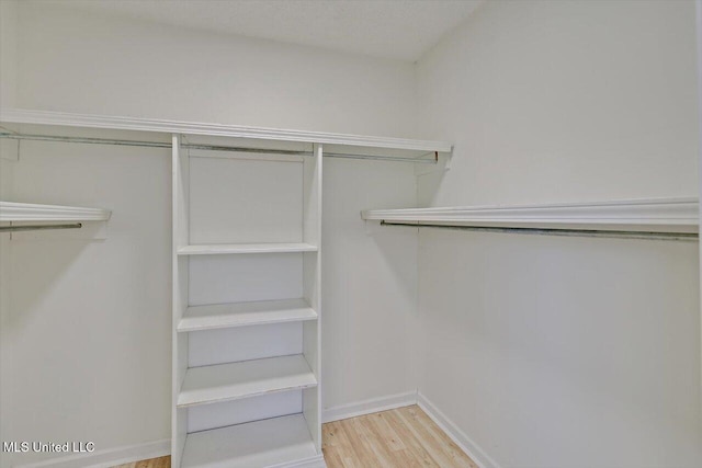 spacious closet with light wood-style flooring