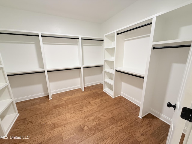 walk in closet featuring hardwood / wood-style flooring