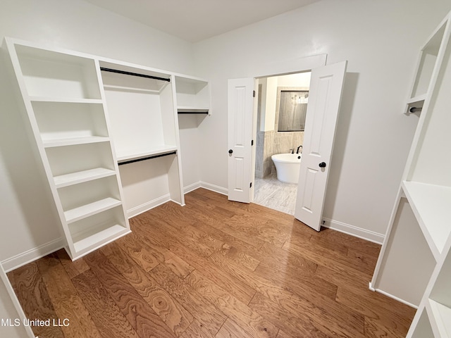 walk in closet with hardwood / wood-style flooring