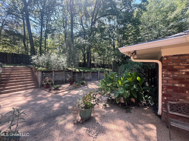 view of yard with a patio area