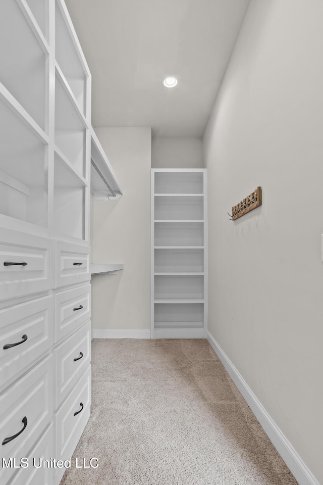 walk in closet featuring carpet flooring