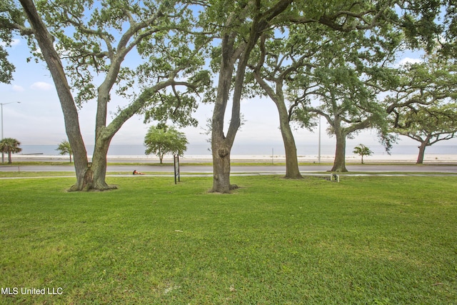 view of home's community featuring a yard