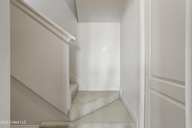 walk in closet featuring carpet