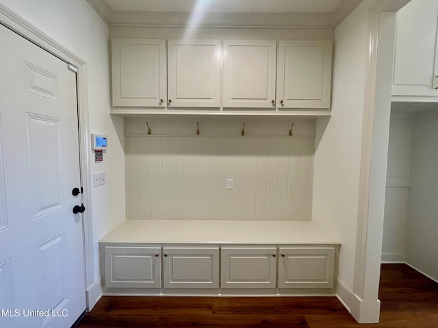 mudroom with dark hardwood / wood-style floors