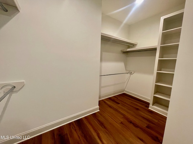 spacious closet featuring dark wood-type flooring