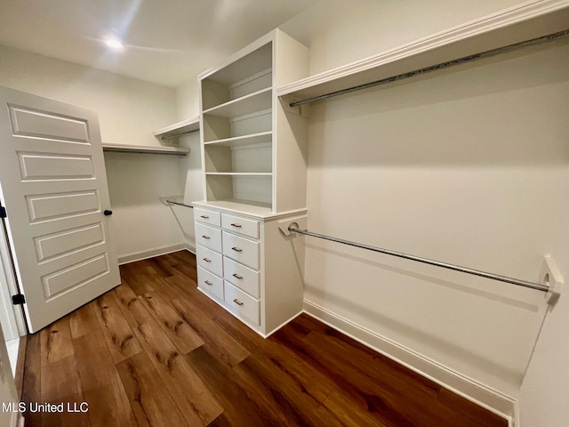 walk in closet featuring dark hardwood / wood-style floors