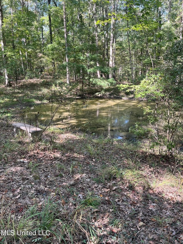 view of local wilderness