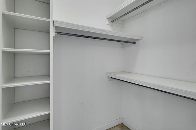 view of spacious closet