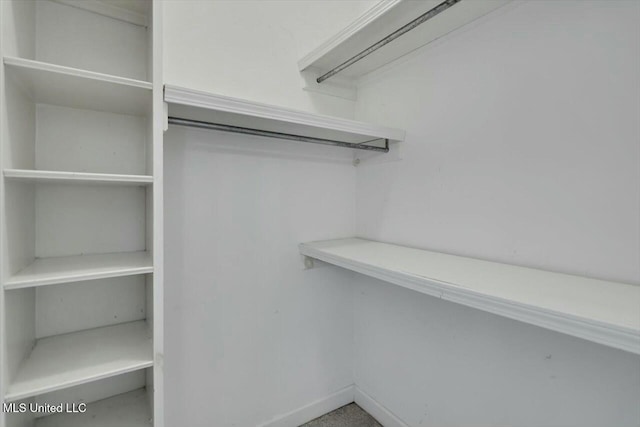 view of spacious closet