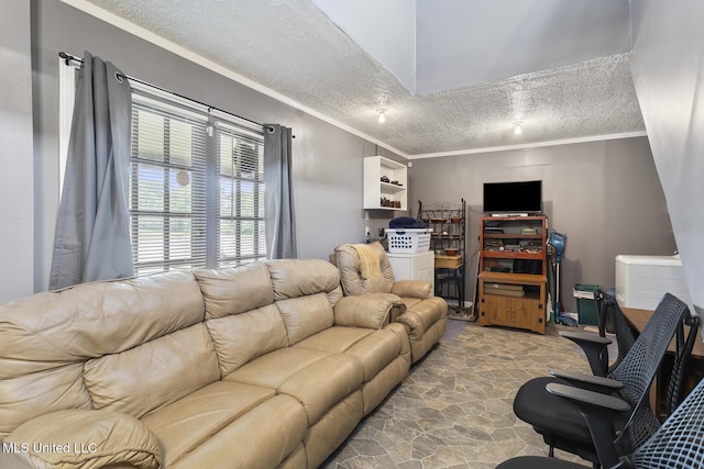 1600 Wright Rd, Raymond, MS 39154 - living room featuring ornamental molding and a textured ceiling