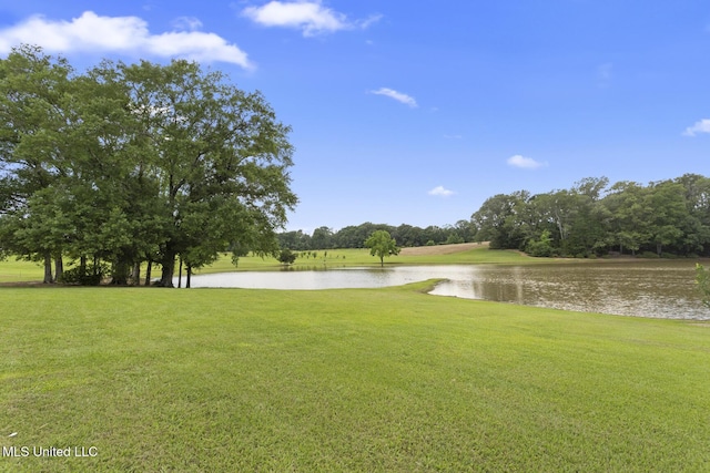 1600 Wright Rd, Raymond, MS 39154 - view of green lawn featuring a water view