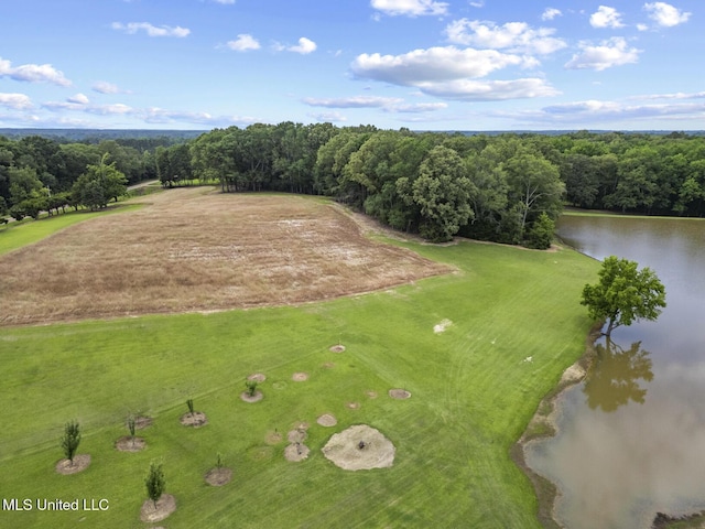 1600 Wright Rd, Raymond, MS 39154 - aerial view of a nearby body of water and a forest