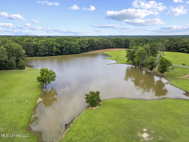 1600 Wright Rd, Raymond, MS 39154 - aerial view of a large body of water and a forest