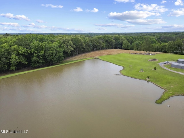1600 Wright Rd, Raymond, MS 39154 - bird's eye view of a forest and a large body of water