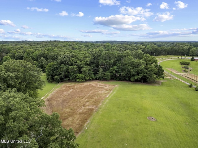 1600 Wright Rd, Raymond, MS 39154 - view of rural area featuring a forest