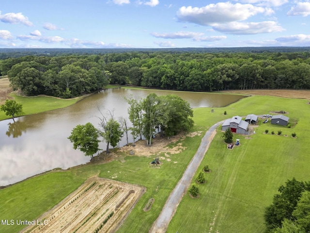 1600 Wright Rd, Raymond, MS 39154 - drone / aerial view of a forest and a large body of water