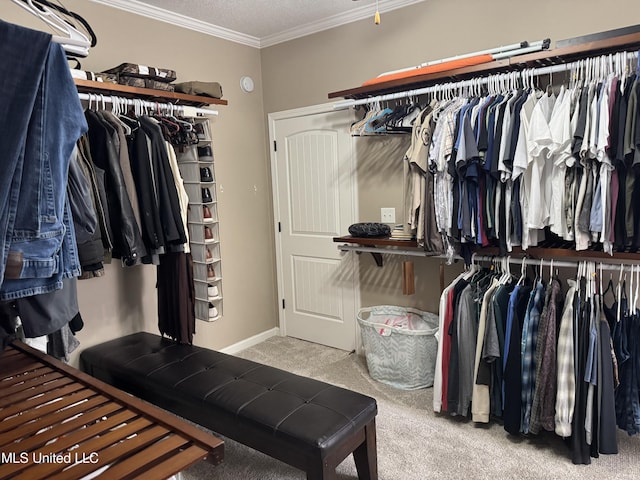 spacious closet featuring carpet