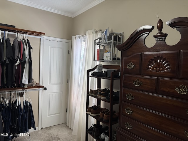 walk in closet with light colored carpet