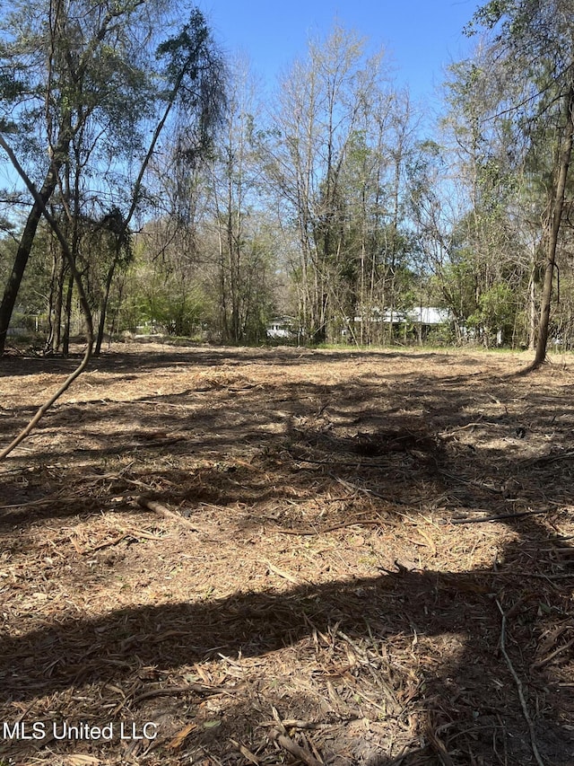 1501 Carterville Rd, Petal, MS 39465