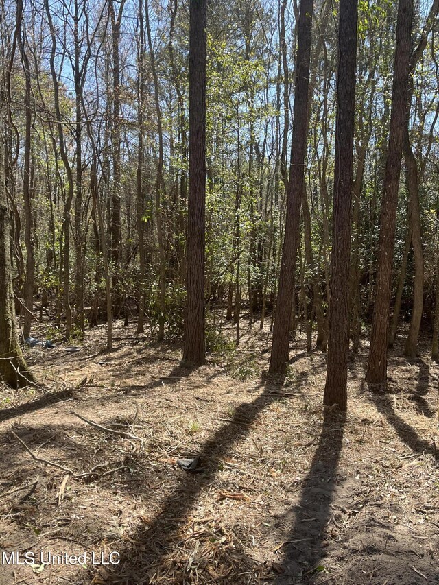 1501 Carterville Rd, Petal, MS 39465
