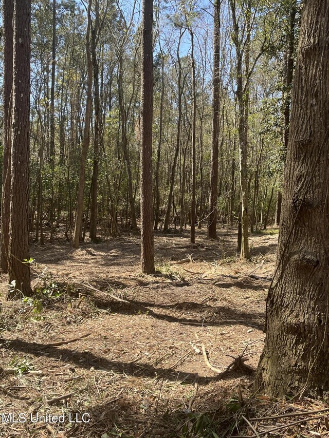 1501 Carterville Rd, Petal, MS 39465