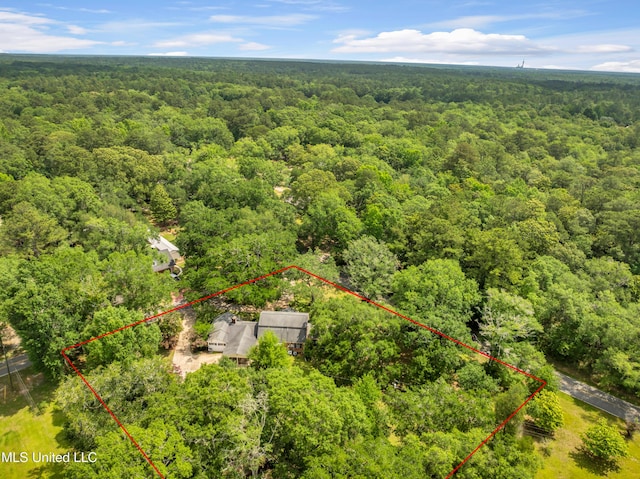 9618 Paige Bayou Rd, Vancleave, MS 39565 - aerial overview of property's location featuring a forest and property boundaries highlighted