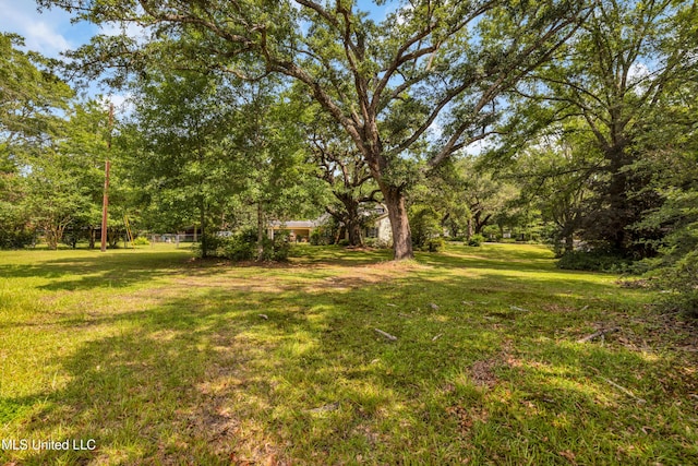 9618 Paige Bayou Rd, Vancleave, MS 39565 - view of green lawn