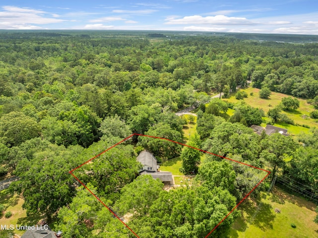 9618 Paige Bayou Rd, Vancleave, MS 39565 - aerial overview of property's location featuring a forest and property boundaries highlighted