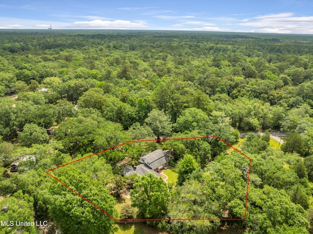 9618 Paige Bayou Rd, Vancleave, MS 39565 - view of property location with a heavily wooded area and property boundaries highlighted