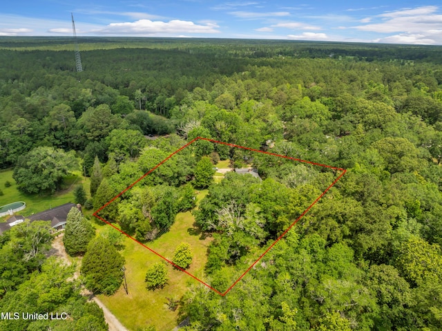 9618 Paige Bayou Rd, Vancleave, MS 39565 - aerial view of property's location with a heavily wooded area and property boundaries highlighted
