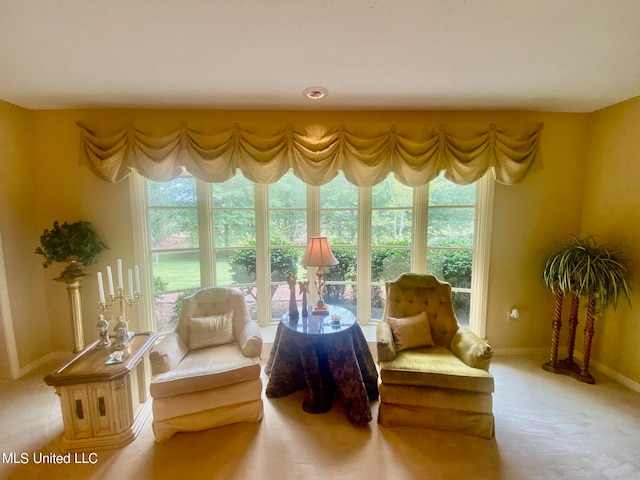 living area featuring light carpet and a healthy amount of sunlight