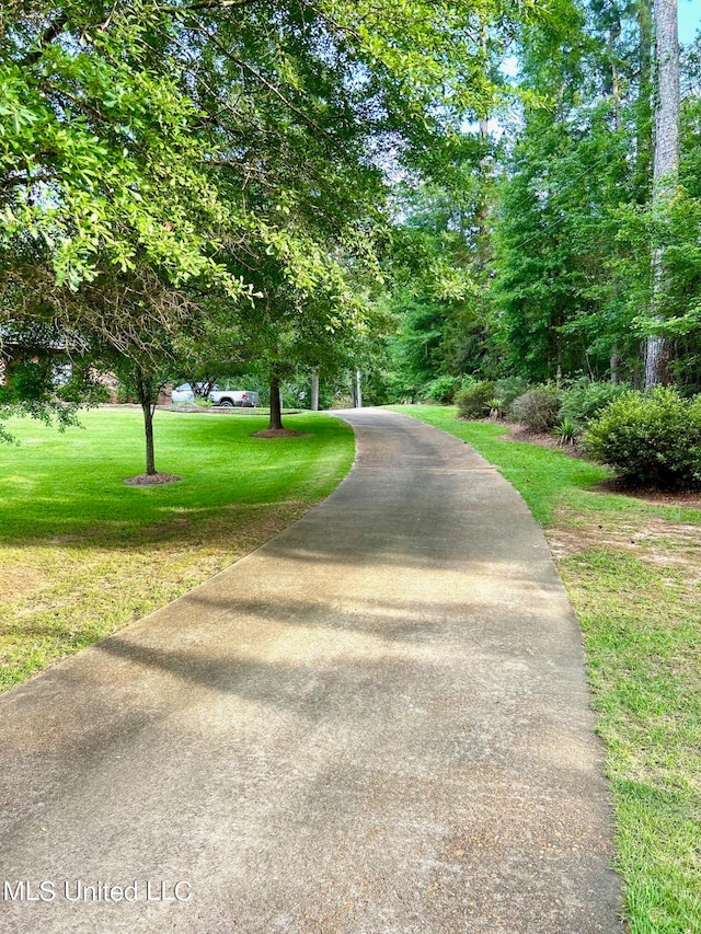 view of property's community with a yard