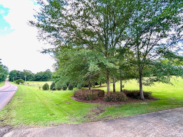 view of community with a yard