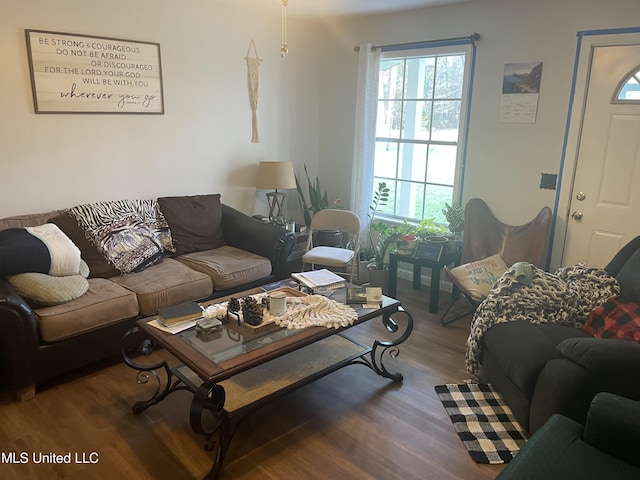 living room featuring wood finished floors