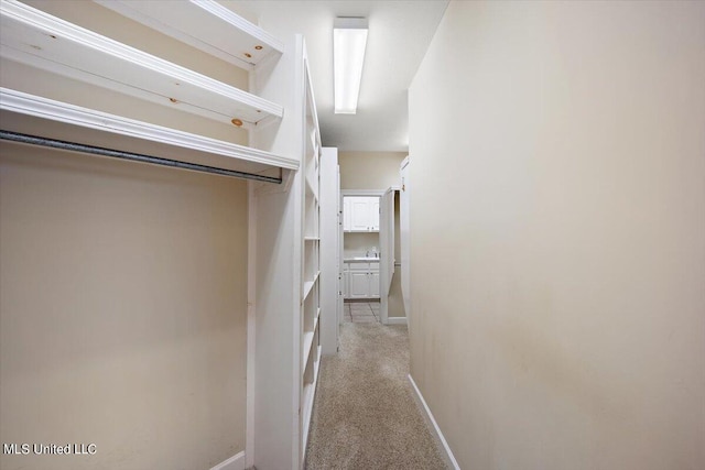 spacious closet featuring light colored carpet