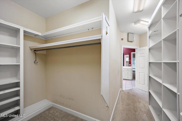 spacious closet with light colored carpet