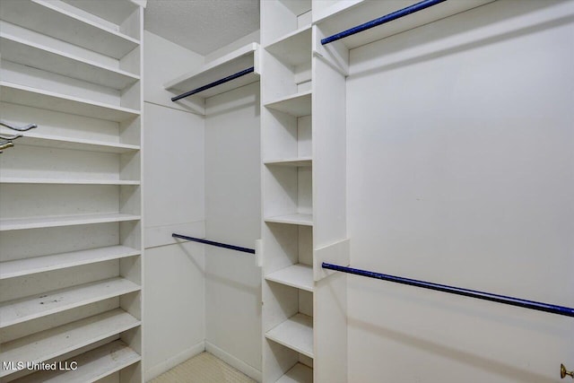 223 Hannah Dr, Clinton, MS 39056 - view of walk in closet