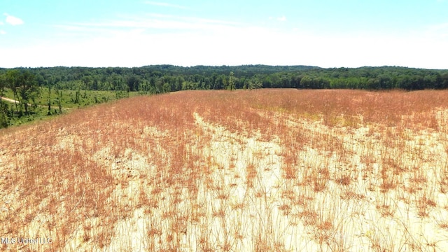 612A Hugh White State Park Rd, Grenada, MS 38901