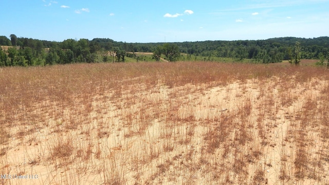 612A Hugh White State Park Rd, Grenada, MS 38901