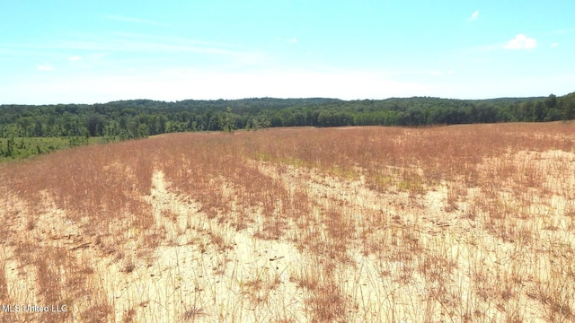 612A Hugh White State Park Rd, Grenada, MS 38901