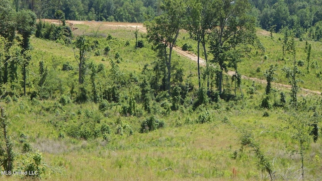 612A Hugh White State Park Rd, Grenada, MS 38901