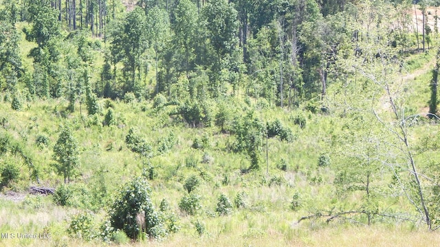 612A Hugh White State Park Rd, Grenada, MS 38901