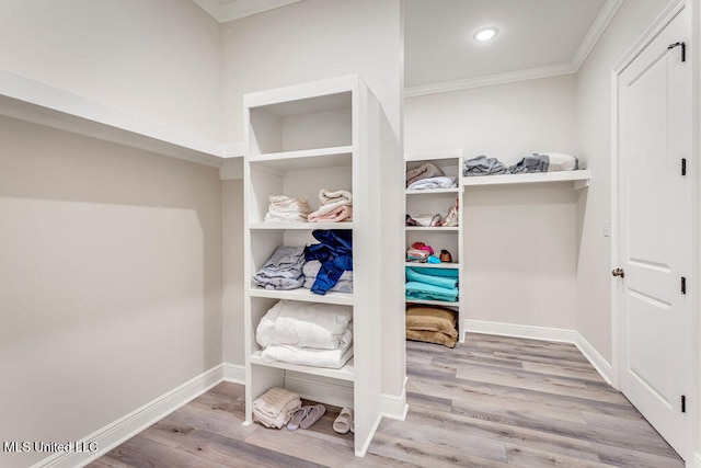 spacious closet with light hardwood / wood-style flooring