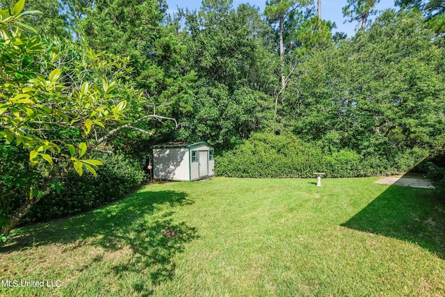 view of yard featuring a storage shed