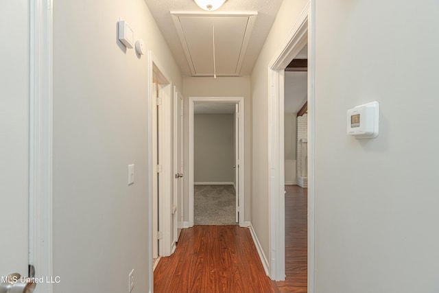 hallway featuring wood-type flooring