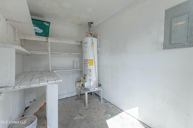 utility room with gas water heater and electric panel