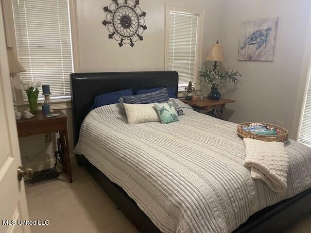 bedroom with carpet floors